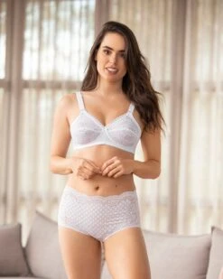 Retro Lace Classic Brief -Tempt Lingerie Shop 012897 000 1200X1500 2021 4