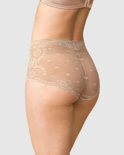 Retro Lace Classic Brief -Tempt Lingerie Shop 012897 802 1200X1500 2021 1