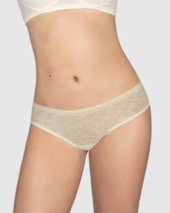 Sheer Lace Hipster Knicker -Tempt Lingerie Shop 012961 253 1200X1500 2021 2