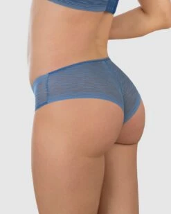 Sheer Lace Hipster Knicker -Tempt Lingerie Shop 012961 512 1200X1500 2021 1