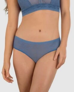 Sheer Lace Hipster Knicker -Tempt Lingerie Shop 012961 512 1200X1500 2021 2