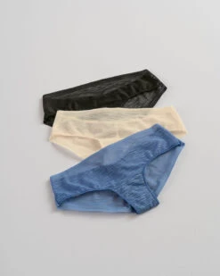 Sheer Lace Hipster Knicker -Tempt Lingerie Shop 012961 512 1200X1500 2021 5