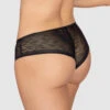 Sheer Lace Hipster Knicker 28 Sheer Lace Hipster Knicker -Tempt Lingerie Shop 012961 700 1200X1500 2021 1