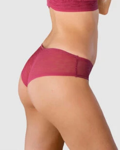 Sheer Lace Hipster Knicker -Tempt Lingerie Shop 012961 A80 1200X1500 1