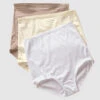 3-pack Full Coverage Classic Knickers -Tempt Lingerie Shop 1255X3 S06 1200X1500 o.k 1