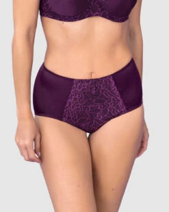 Firm Control Classic Knicker 25 Firm Control Classic Knicker -Tempt Lingerie Shop 72221 A97 1200X1500 2