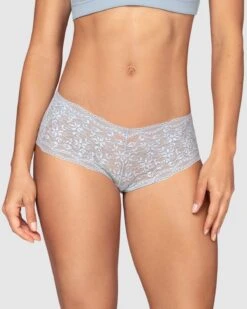Hiphugger Style Knicker In Modern Lace -Tempt Lingerie Shop 72264 591 1200X1500 2